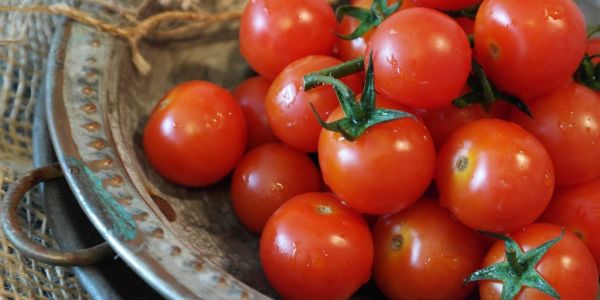 Getting Lettuce Into Britain - Spanish Farmers Baulk At No-Deal Brexit