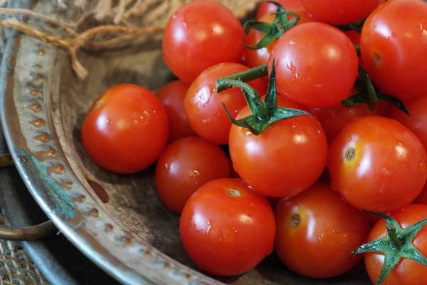 French Agency Warns Of Virus Threatening Tomatoes, Peppers