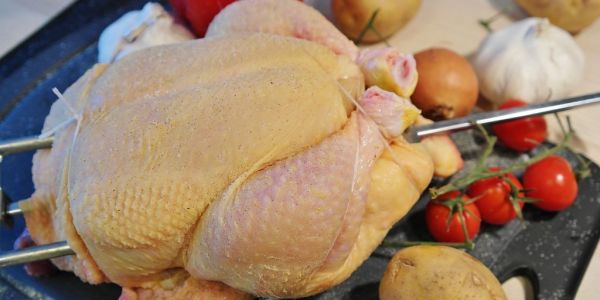 Russia To Start Supplies Of Frozen Poultry To China By End Of 2018