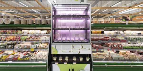Italy's Conad Launches Project To Grow 'Micro-Vegetables' In-Store
