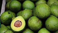 Kenyan Supplier Dropped By Tesco Calls For Probe Into Allegations