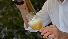 Record Year For Italian Beer Production And Exports