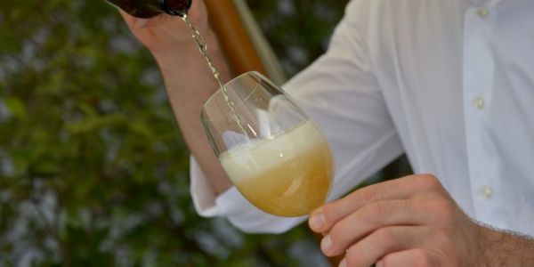 Record Year For Italian Beer Production And Exports