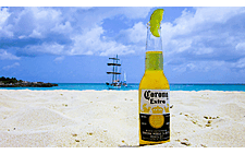 Constellation Brands To Invest In Women-Led Beverage Businesses