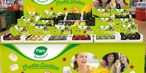 Pam Panorama Introduces New Private Label Lines