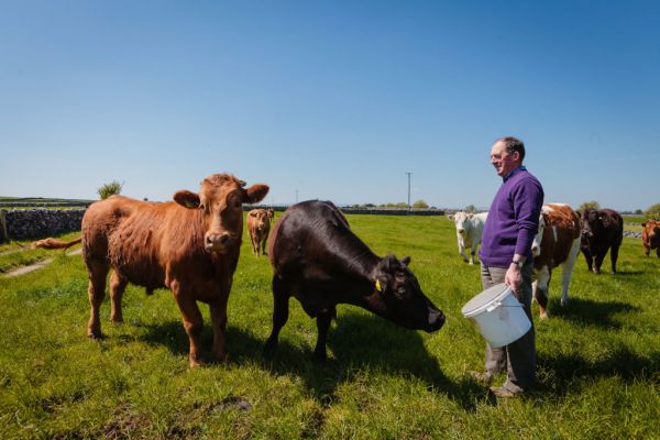Dairy Co-op Aurivo Invests €48 Million In Capacity Expansion