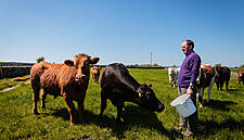 Dairy Co-op Aurivo Invests €48 Million In Capacity Expansion