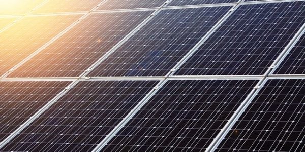 FrieslandCampina's Solar Programme Extends To More Farms
