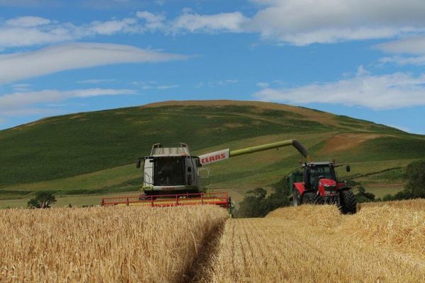 Investors Warn EU Against Badging Intensive Farming As Sustainable
