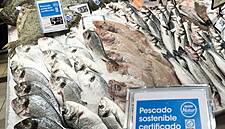 Spain's Eroski Sees Sustainable Fish Purchases Rise 24%