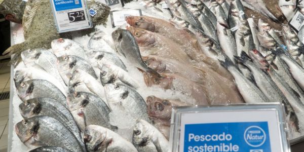 Spain's Eroski Sees Sustainable Fish Purchases Rise 24%