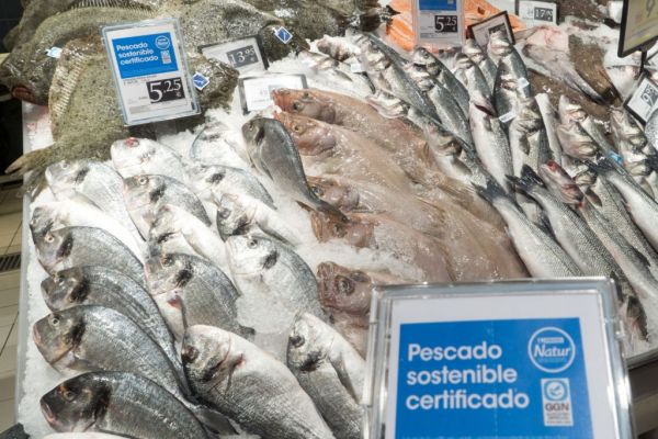 Spain's Eroski Sees Sustainable Fish Purchases Rise 24%