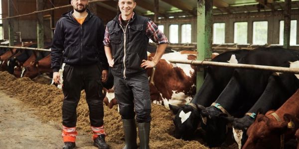 Valio Introduces 'Responsibility Bonus' For Dairy Farmers