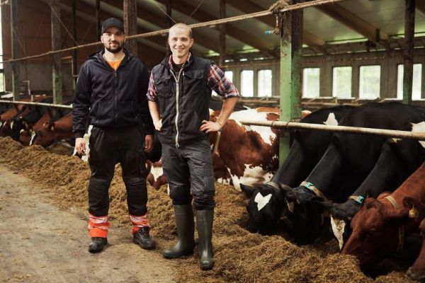 Valio Introduces 'Responsibility Bonus' For Dairy Farmers