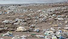 EU Agrees To Ban Throw-Away Plastics To Limit Ocean Pollution
