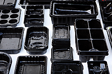 Waitrose To Phase Out Black Plastic Packaging By 2019