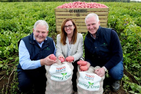 Tesco Ireland Signs €60 Million Potato Deal