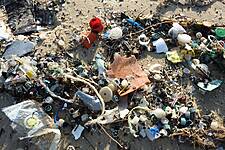 Chemicals, Plastic Makers To Focus On Curbing SE Asia Plastic Waste