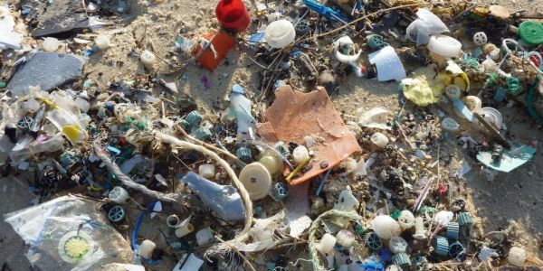 Efforts To Reduce Marine Plastic Pollution May Hit Packaging Firms: Moody's