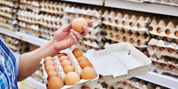 Conad and MD To Cease Sale Of Eggs From Caged Hens