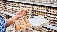 Avril Commits To Switching To 'Alternative' Eggs By 2025