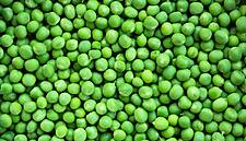 Pea Boom Goes Bust As Canada Farmers Ditch Pulses For Canola