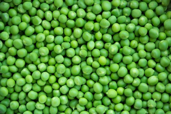 Pea Boom Goes Bust As Canada Farmers Ditch Pulses For Canola