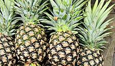 Pineapple Replaces Avocado As UK's Fastest-Growing Fruit