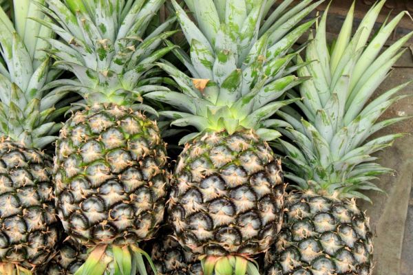 Pineapple Replaces Avocado As UK's Fastest-Growing Fruit
