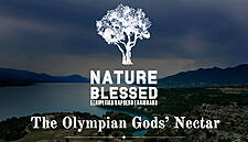 Nature Blessed Adds Great Taste Award To Its Trophy Cabinet