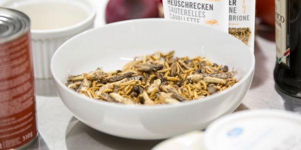 Migros To Launch Three New Edible Insects SKUs