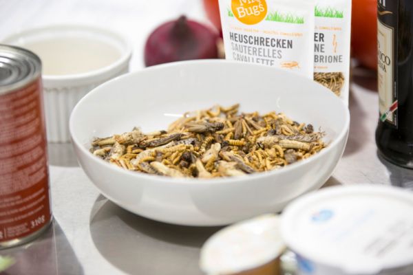 Migros To Launch Three New Edible Insects SKUs