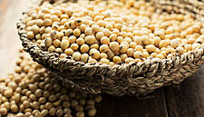 China Expects Higher Soybean, Corn Imports For 2019/20 On Rise In US Cargoes