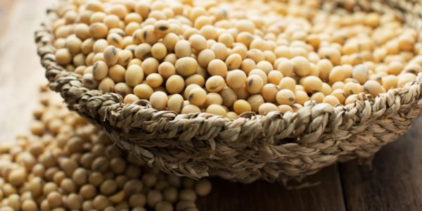 China's August Soybean Imports From Brazil Rise 22% From Year Earlier