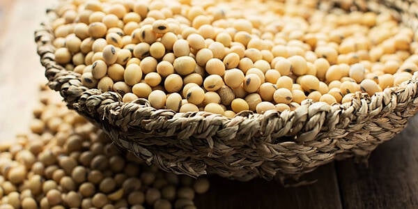 U.S. Farmers Reaped Record Soy Harvest In Autumn 2021