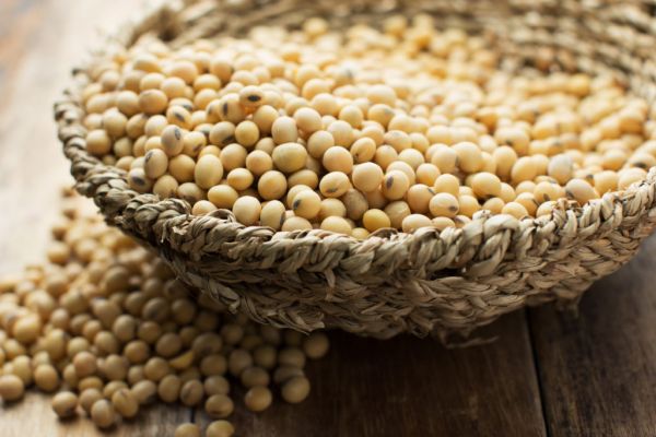 U.S. Farmers Reaped Record Soy Harvest In Autumn 2021