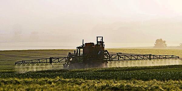 French Farms Get Bigger But Still Smaller Than American Rivals, Census Showed