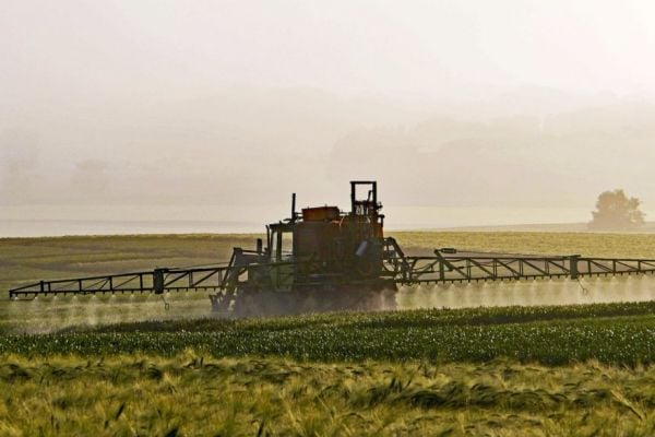 New Zealand Farmers Protest Over Environmental Policies