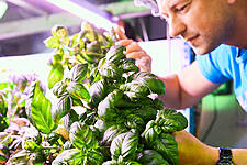 Belgium's Colruyt Develops 'Vertical Farm' For Boni Selection