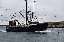 'You Have To Be Realistic': France Prepares Fishermen For The Worst Over Brexit