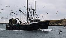 'You Have To Be Realistic': France Prepares Fishermen For The Worst Over Brexit