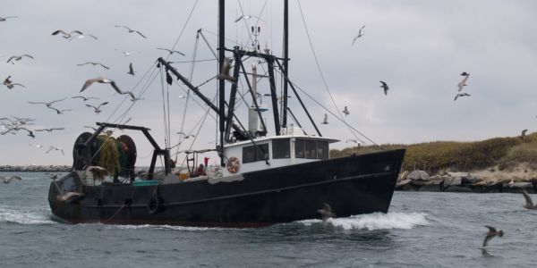 EU Fishing Sector Must End 'Addiction' To Fossil Fuels: NGOs