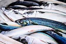 Surging Fish Prices In China Stir Up Food Supplies