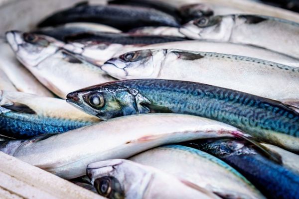 Surging Fish Prices In China Stir Up Food Supplies