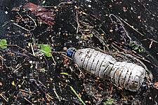 Plastic Bank Prevents One Billionth Plastic Bottle From Entering The Ocean