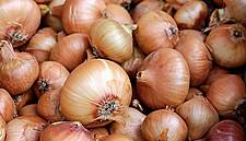 India Doubles Export Incentives For Onion Farmers To 10%