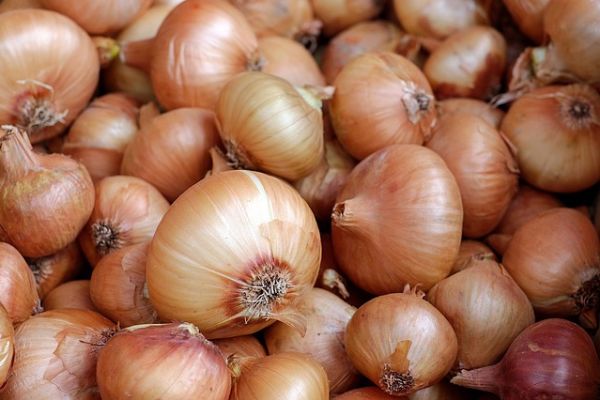 Onion Prices Surge In India As Heavy Rainfall Damages Crops