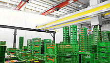 Cimcorp Enters Russian Distribution Market, Aims To Boost Grocery Freshness