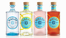 Pernod Ricard Acquires Italian Gin Brand