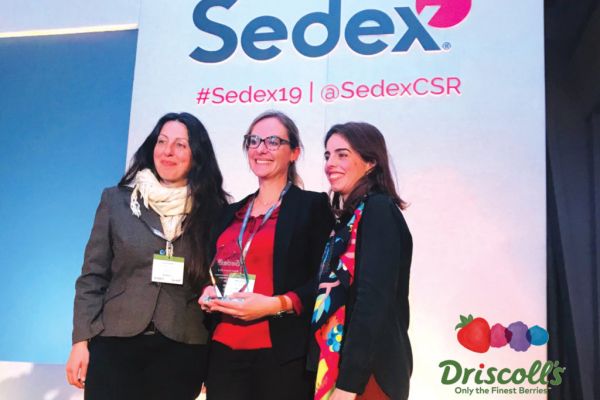 Driscoll's Wins Best Health and Safety Labour Programme At 2019 Sedex Awards